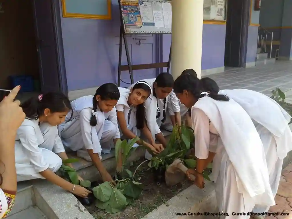 Sant Sri Asaramji Bapu Gurukul campus 3