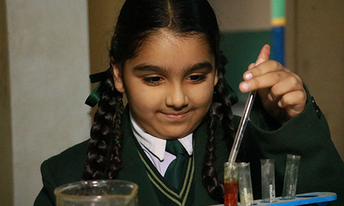 S.B.R.S. Gurukul School campus 6