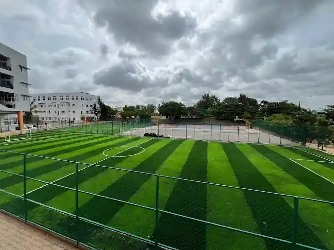 Treamis School campus 4