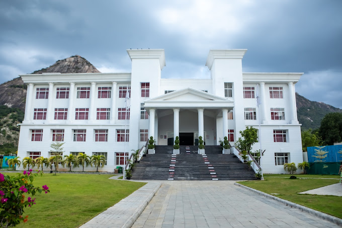 Candor National Public School campus 5