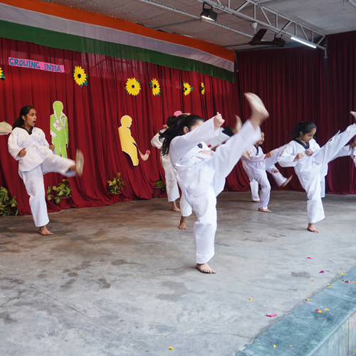The Lucknow Public Collegiate, 3, Jopling Rd, Picup Colony campus 6
