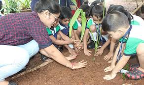 Kohinoor Blossoms campus 6