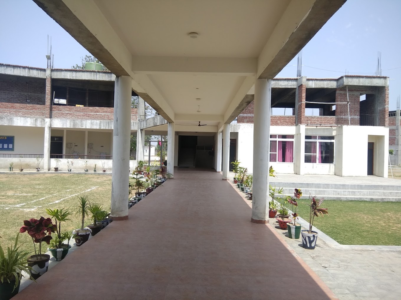 The Mahabodhi Tree campus 1