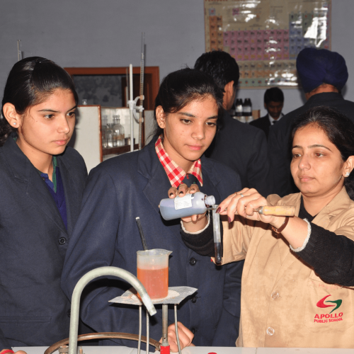 Apollo Public School campus 6