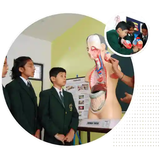 Delhi Public School campus 5