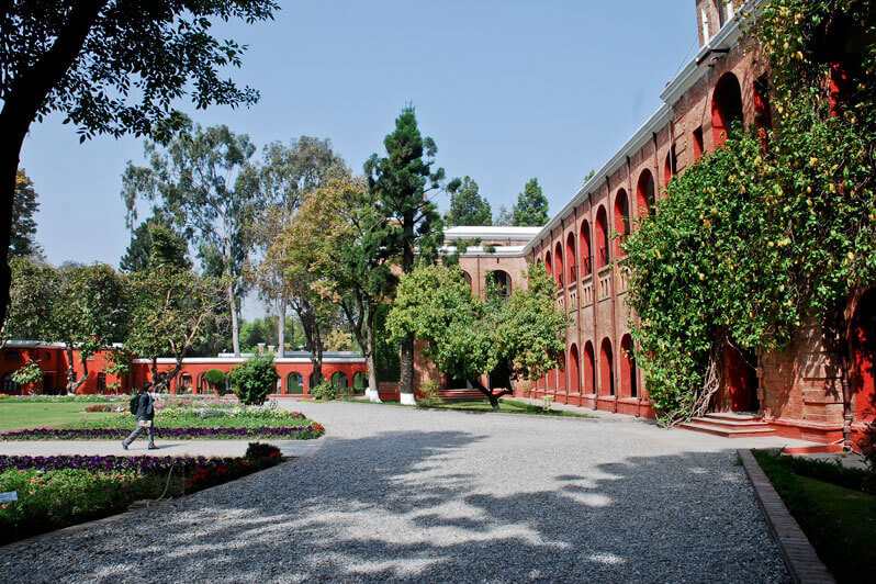 The Doon School campus 5