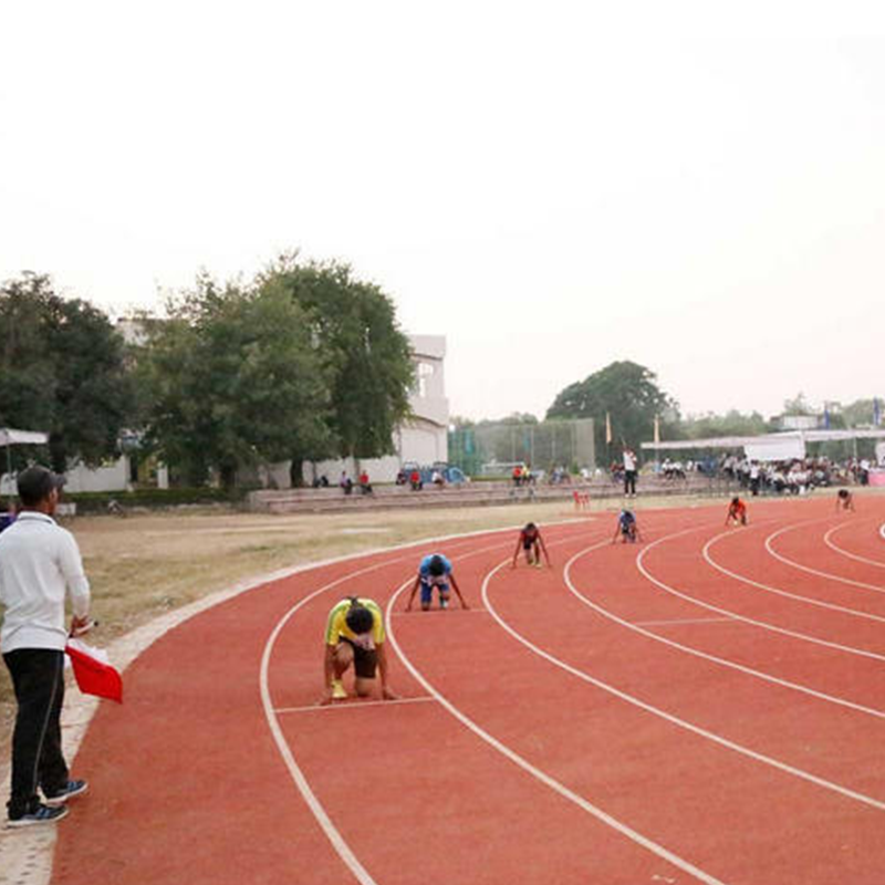 Satluj Public School campus 3