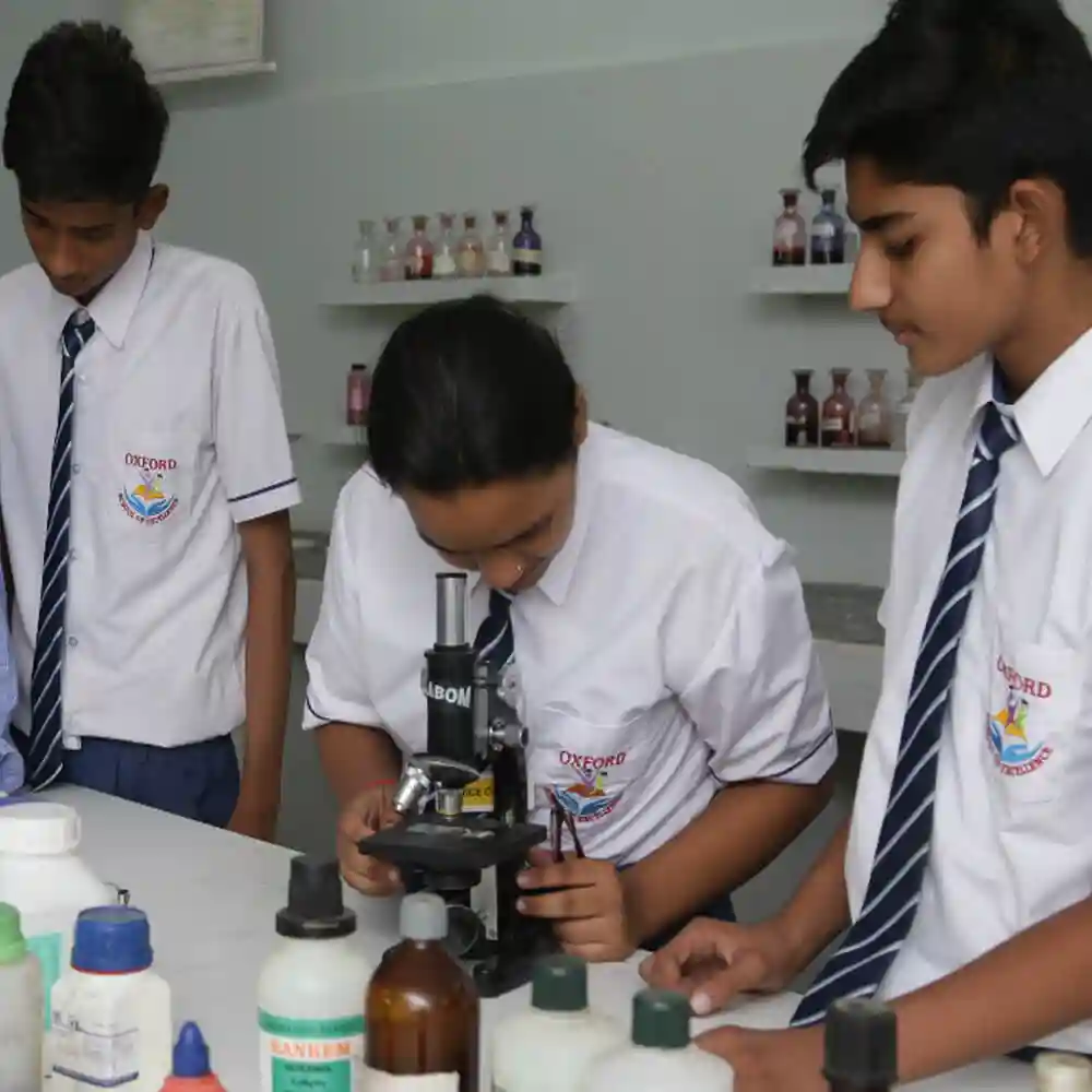 Oxford School Of Excellence campus 6