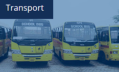 Stemfield International School campus 2