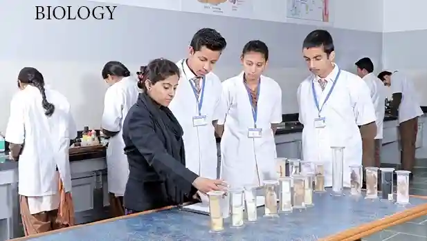Saraswati Shikshan Sadan Convent School campus 6