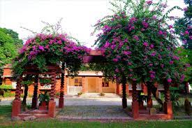 Rajghat Besant School campus 5
