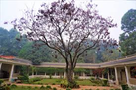 Rajghat Besant School campus 2