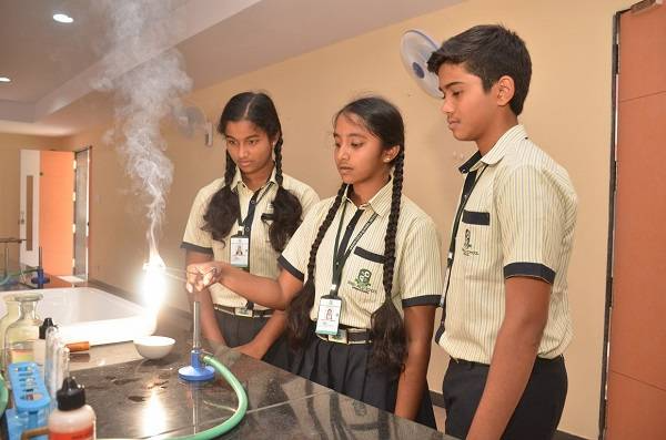 Green Field International School campus 6