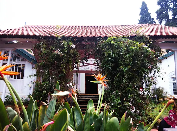 The Blue Mountains School campus 4