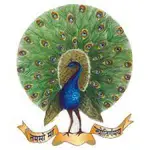 Logo for Mayoor Chopasni School