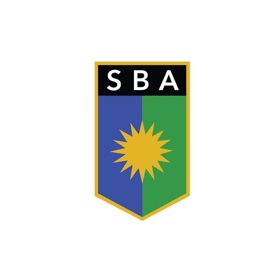 Sarala Birla Academy logo