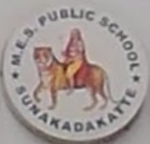 M.E.S Public School