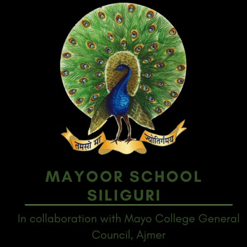 Logo for Mayoor School