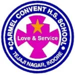 Carmel Convent Senior Secondary School