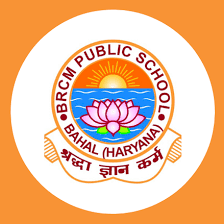 Logo for BRCM Public School