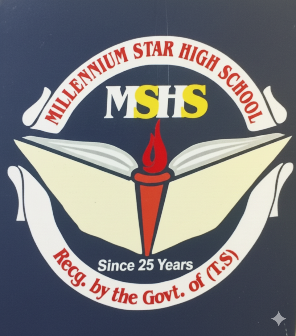 Millennium Star High School