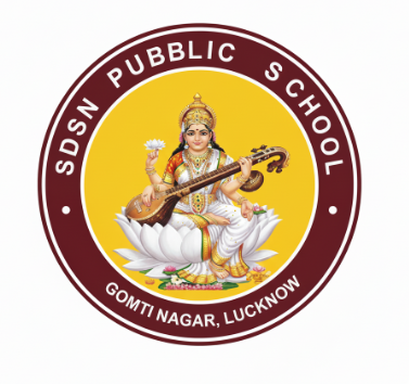SDSN Public School logo