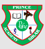 Logo for Prince Academy