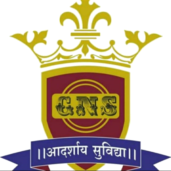 Galaxy National School logo