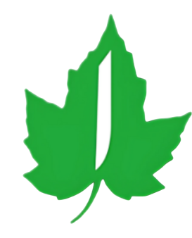 Alif High School logo