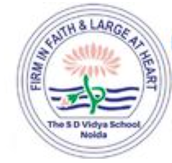 The SD Vidya School