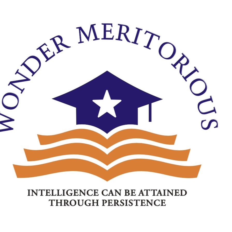Wonder Meritorious School Of Intelligence logo