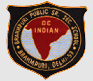 Brahampuri Public Senior Secondary School logo