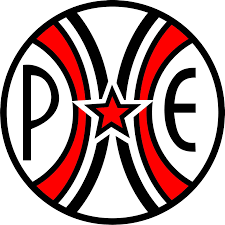 Progressive Education School East Indore logo