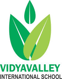 Vidyavalley International School logo