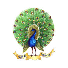 Logo for Mayoor School Jaipur