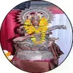 Saraswati Shiksha Sansthan Senior Secondary School logo