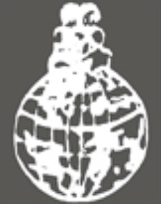 Bhatnagar International Foundation School logo