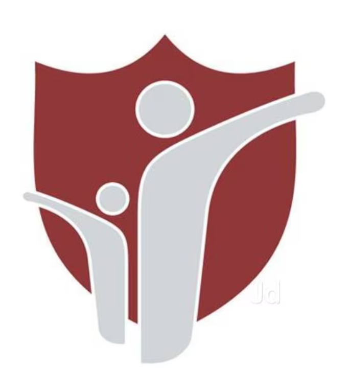 Vip S International School logo